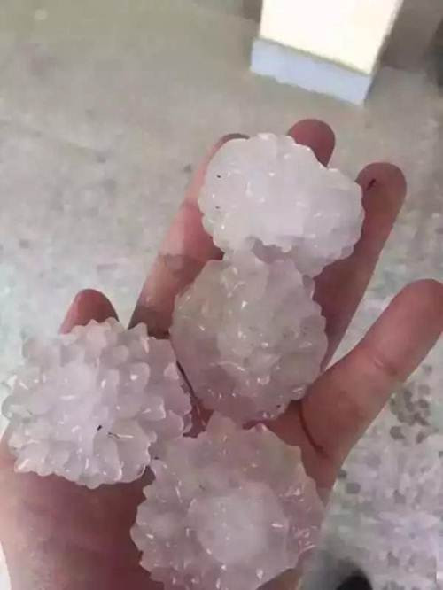 Một bàn tay người trưởng thành cũng chỉ có thể cầm được bốn viên mưa đá.