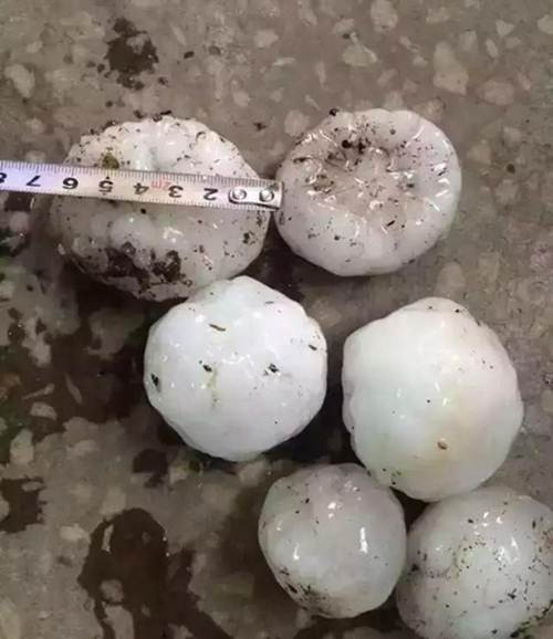 Những người đi đường bất ngờ gặp phải trận mưa đá to kỷ lục này đều phải ngay lập tức ngừng di chuyển, tìm chỗ trú chân khẩn cấp vì trận mưa đá này hoàn toàn có thể gây tử vong với những viên đá to có đường kính lên đến 6,5cm.