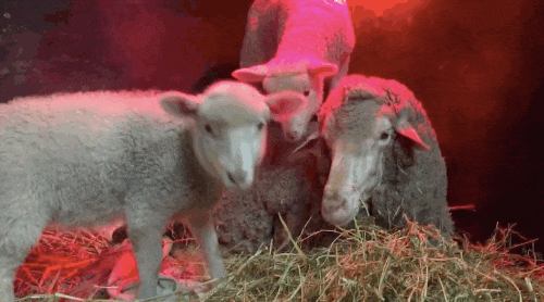 Cuu me bi benh hoi phuc kinh ngac khi gap con