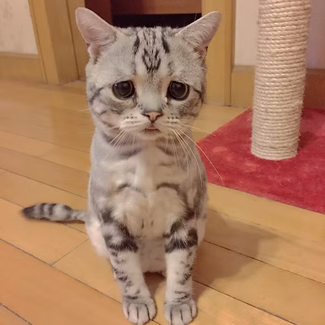 Không một ai có thể từ chối bất kỳ lời đề nghị nào từ khuôn mặt như thế này.