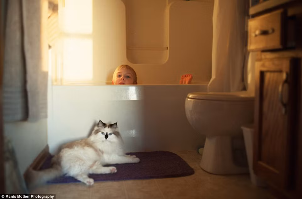 ... hay về sự liên kết kỳ lạ giữa trẻ con và mèo sẽ đem lại niềm vui, truyền cảm hứng cho mọi người cũng giống như cô.