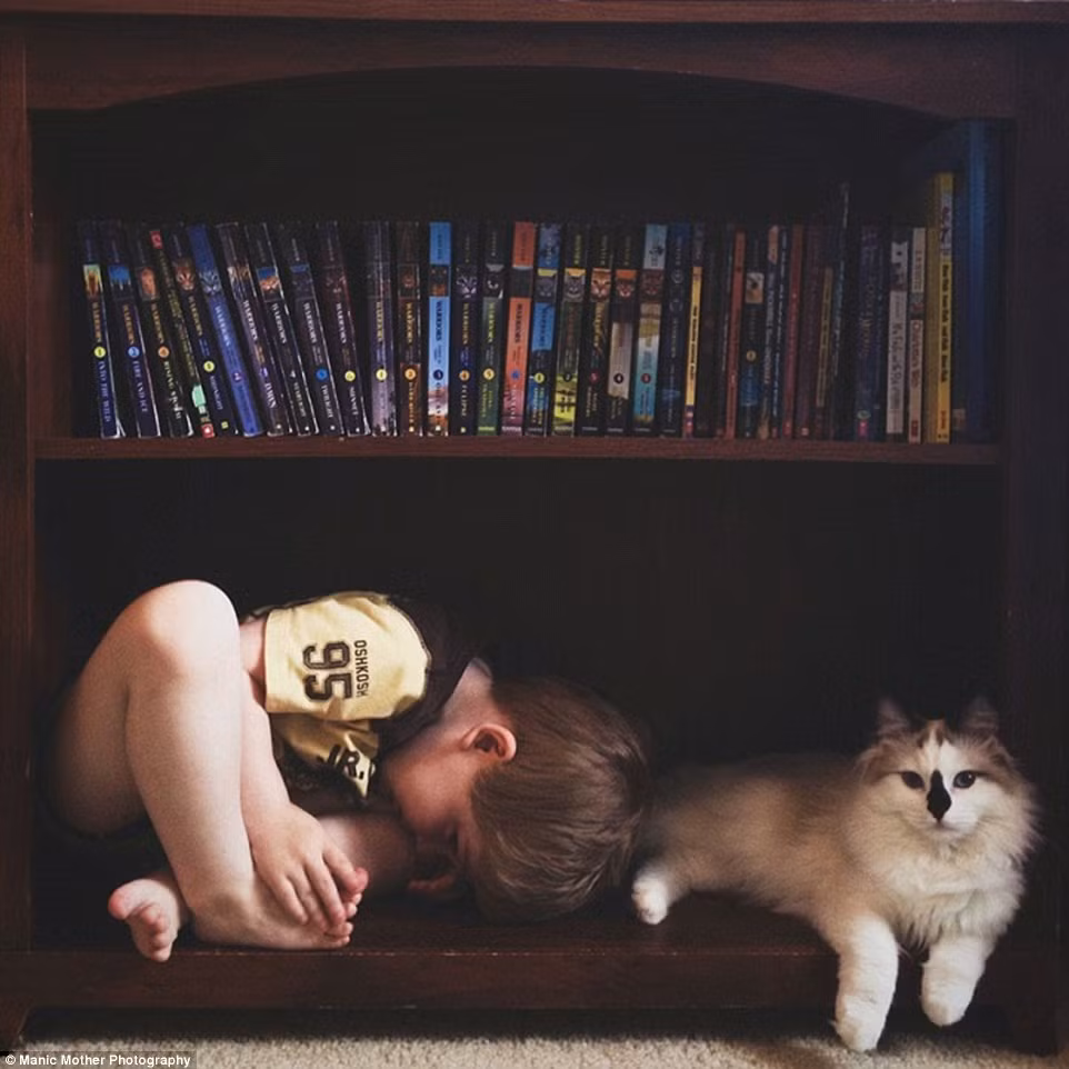 Tình bạn thân thiết, gắn bó kỳ lạ giữa đôi mèo Ragdoll đã khơi nguồn cảm hứng cho Beth, mẹ của ba cậu nhóc và cũng là một nhiếp ảnh gia cho ra đời loạt ảnh ấm áp có tên "Chàng trai và những con mèo".