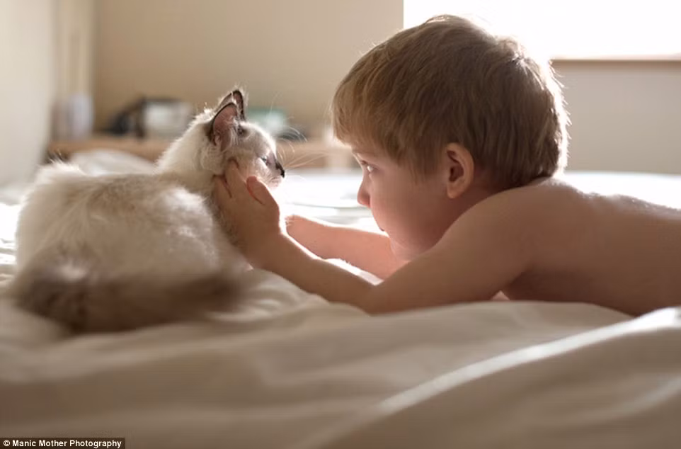 Mọi người luôn nói chó là người bạn tốt nhất, trung thành nhất của con người nhưng ở gia đình nhiếp ảnh gia Beth Mancuso, mèo mới là người bạn tốt nhất, gần gũi nhất. Tình bạn kỳ lạ này cũng khơi gợi nguồn cảm hứng nhiếp ảnh cho người mẹ ba con này.