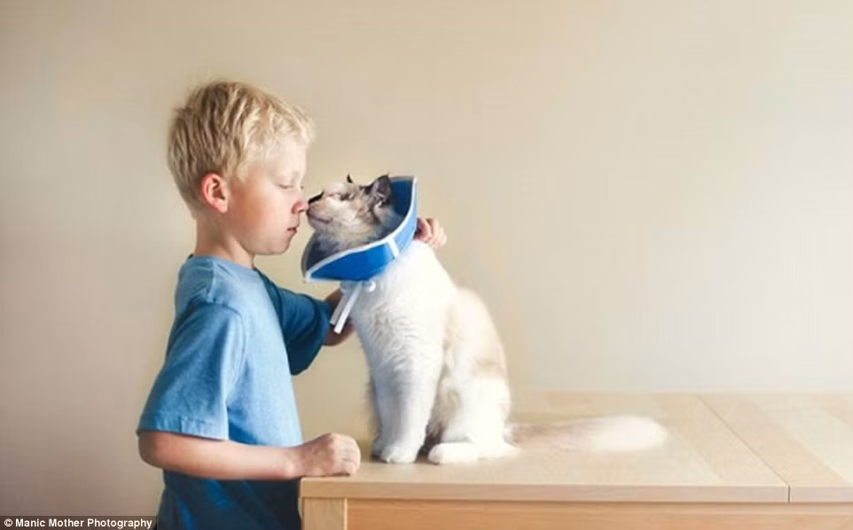 Con trai đầu của nhiếp ảnh gia này là người có mức độ gắn bó lớn nhất, cả ngày chơi đùa cùng lũ mèo không đủ, cậu bé còn muốn vụng trộm cho những con mèo lên giường ngủ cùng mình vào ban đêm.