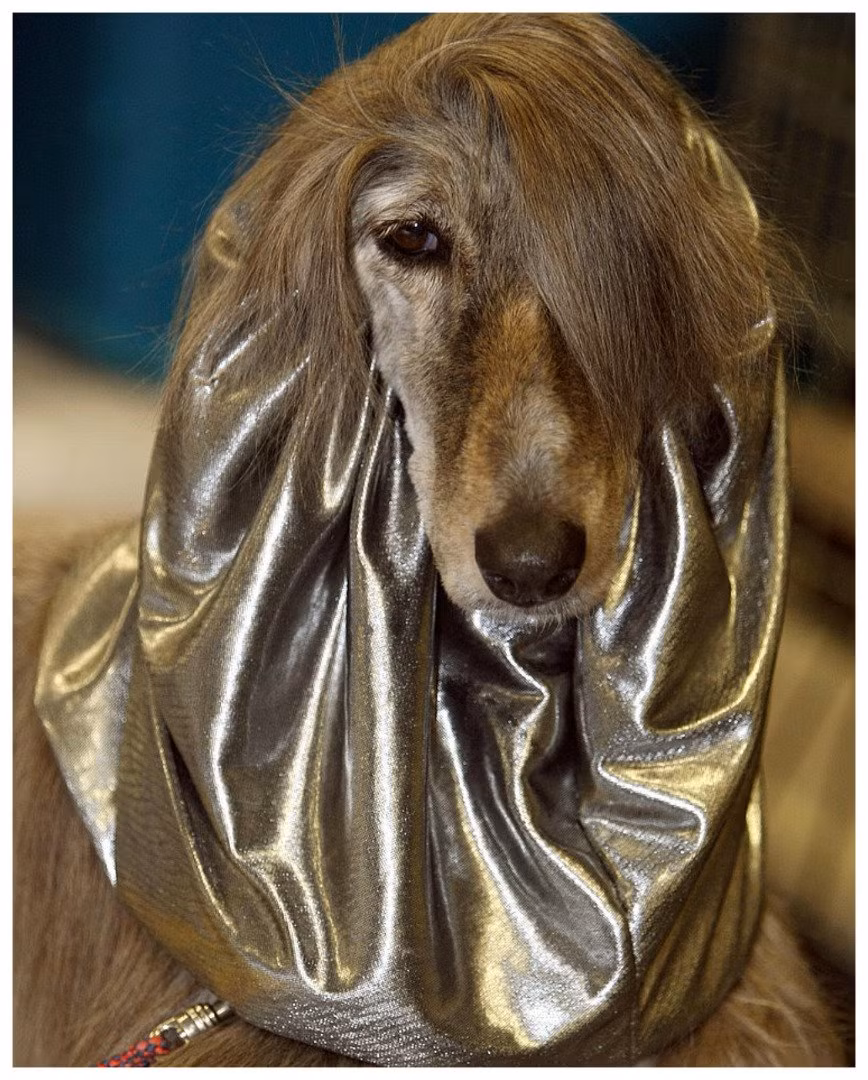 Tóc mái được cắt tỉa gọn, tạo nếp, thả xõa bồng bềnh giúp anh chàng này trở thành một lãng tử chính hiệu.