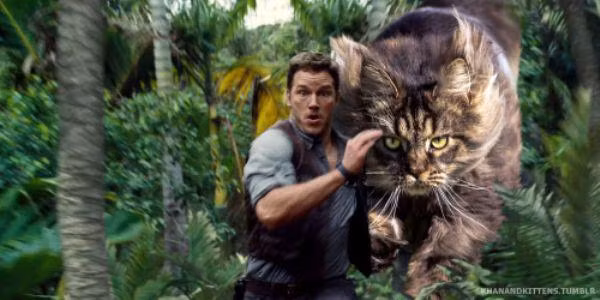 Ăn theo hiệu ứng của bộ phim "Jurassic World - Thế giới khủng long", loạt ảnh giả định "Purassic World - Thế giới mèo khổng lồ" cho thấy hình ảnh loài mèo khổng lồ, to và nguy hiểm như loài khủng long thời tiền sử do tài khoản Khan&amp;Kitten trên trang Tumblr chia sẻ khiến ai cũng kinh ngạc. Bạn có từng nghĩ con người sẽ thế nào nếu mèo to như khủng long?