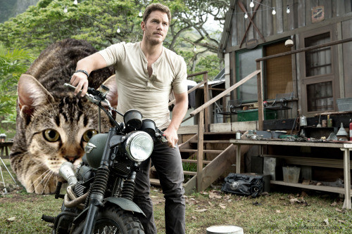 Một số hình ảnh gây kinh ngạc khác: