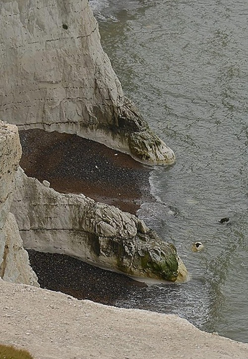 Khi một con cừu đã chết, con chó chăn cừu tàn nhẫn ngay lập tức chuyển hướng sang con cừu còn lại và cũng định ép nó lặp lại bi kịch của bạn mình. Tuy nhiên rất may, con cừu con còn lại đã may mắn trốn thoát trước khi chủ nhân đến và khống chế con chó chăn cừu điên cuồng.