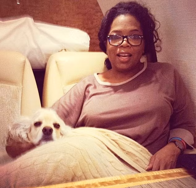 Sadie, chó cưng của nữ hoàng talk show Oprah Winfrey được sở hữu khối tài sản 3,6 triệu bảng (khoảng 115 tỷ đồng) từ chủ nhân hào phóng của mình, sống một cuộc sống vương giả với sự chăm sóc hiện đại, tiện nghi bậc nhất thế giới.