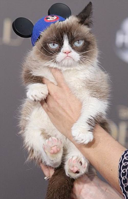 Grumpy, một tỷ phú mèo tự lập nổi tiếng với cuộc sống vương giả hơn người. Được nhiều người biết đến nhờ những bức hình vô cùng đáng yêu với biểu cảm mặt cau có của mình. Mèo Grumpy đã kiếm được 66 triệu bảng Anh (khoảng gần 2,500 tỉ đồng) trong vòng hai năm nhờ đóng phim, xuất hiện trên các show truyền hình, trên sách và những sản phẩm đồ chơi. Tabatha Bundesen, chủ nhân của chú mèo, hiện đang sống ở bang Arizona, Mỹ đã bỏ cả công việc hầu bàn để chăm sóc cho Grumpy và hưởng lợi từ thú cưng. Grumpy đang có 280.000 người theo trên Twitter, Instagram có 662.000 tín đồ và 7,5 triệu lượt thích trên Facebook. Nó luôn có mặt trong danh sách những động vật đáng yêu nhất.