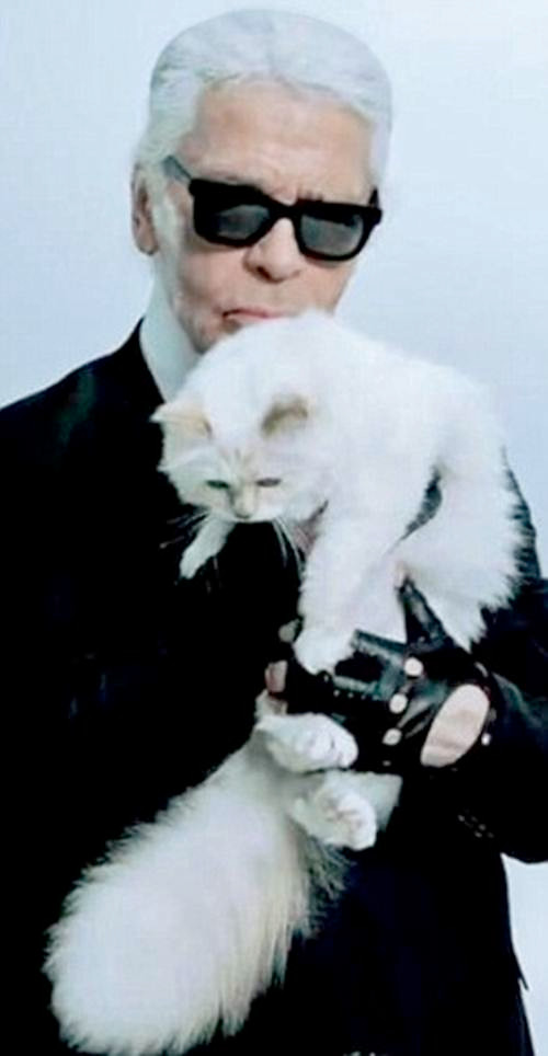 Mèo Choupette, chú mèo thuộc sở hữu của nhà thiết kế thời trang đình đám Karl Otto Lagerfeldt, đây là nhà thiết kế chính của nhiều nhà mốt sang chảnh như Chanel, Fendi. Với tài năng sẵn có, Karl đã biến chú mèo của mình thành một nhân vật cực nổi tiếng trong làng thú cưng thế giới với những xa xỉ phẩm để đánh bóng tên tuổi. Choupette có một cuộc sống xa hoa, tuy nhiên chính vì thế chú mèo này đã được mời làm đại diện thương hiệu cho hãng nước hoa Shu Uemura. và kiếm bộn tiền cho ông chủ của mình.