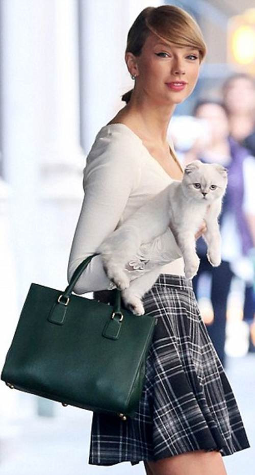 Mèo Olivia Benson, cô mèo của siêu sao nhạc đồng quê Taylor Swift cũng là một trong những chú mèo nổi tiếng bởi khả năng kiếm tiền của cả chủ và tớ. Số tiền mà Olivia kiếm được nhờ làm đại diện thương hiệu giày Keds và quảng cáo Diet Coke cũng lên đến hàng tỷ đồng, không hề thua kém cô chủ xinh đẹp Taylor Swift là bao nhiêu.