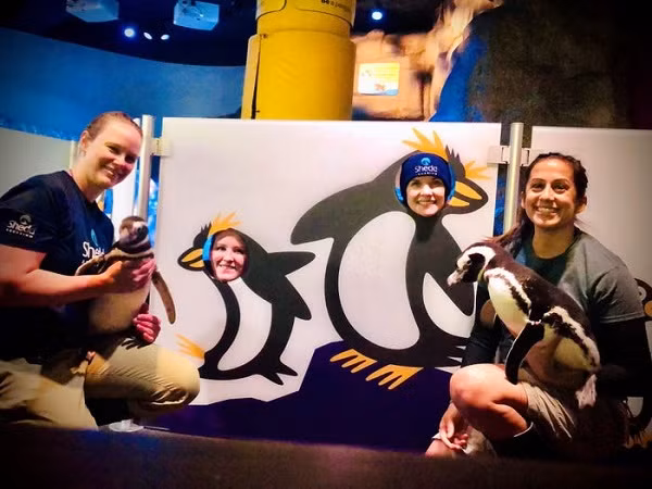 Nơi đây hiện không đón khách nhưng các nhân viên chăm sóc động vật và bác sĩ thú ý luôn có mặt 24/7, để phục vụ những vị khách đáng yêu này. Với họ, điều quan trọng là luôn phải khiến cho các loài vật ở đây cảm thấy chúng ổn, ngay cả khi dịch bệnh đang diễn biến phức tạp ngoài kia.