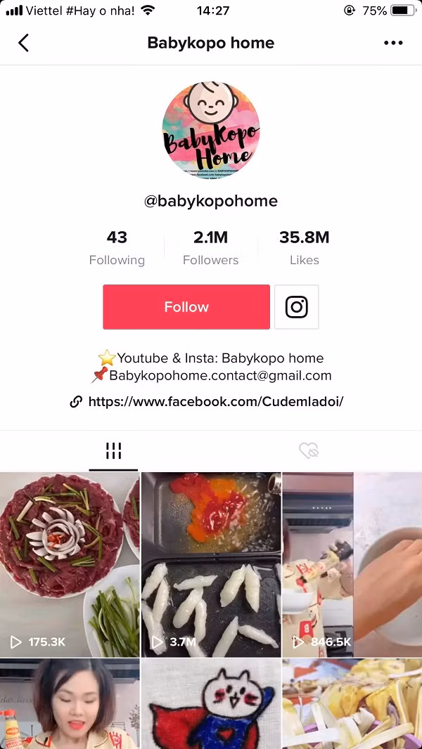 Chỉ sau một thời gian ngắn kênh này đã đạt hơn 2 triệu lượt follow - con số "khủng" mà nhiều Tiktok-er ao ước.