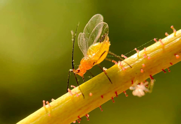 Nếu không nói, sẽ chẳng ai tin những bức hình này lại được chụp bằng iPhone.