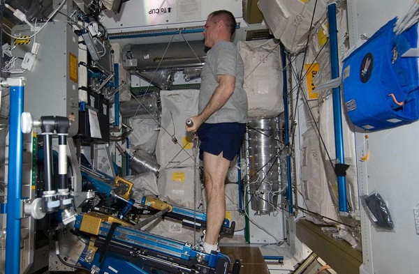 ARED là chiếc máy tập dành riêng cho phi hành gia được các nhà khoa học thiết kế. Tuy khá đơn giản nhưng chỉ cần giúp họ có thể thực hiện động tác ngồi xuống, đứng lên, nâng hoặc đẩy thanh tập là đủ.