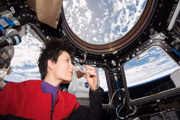  Đồ dùng này của phi hành gia bắt chước trọng lực cốc nước trên Trái Đất nhờ sức căng bề mặt, hình dáng đặc biệt và việc làm ướt.