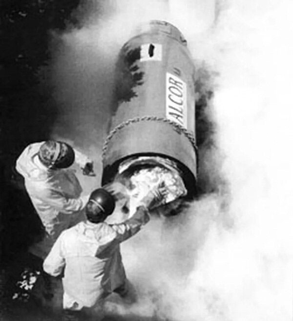 Năm 2017, thời điểm mà Robert đã dự đoán rằng vị tỷ phú này sẽ thức dậy trôi qua, tuy nhiên kết quả thì không đúng như mong đợi. Tình trạng của Bedford vẫn chưa được đánh giá là chết về mặt lý thuyết, nhưng cũng...không được coi là sống.