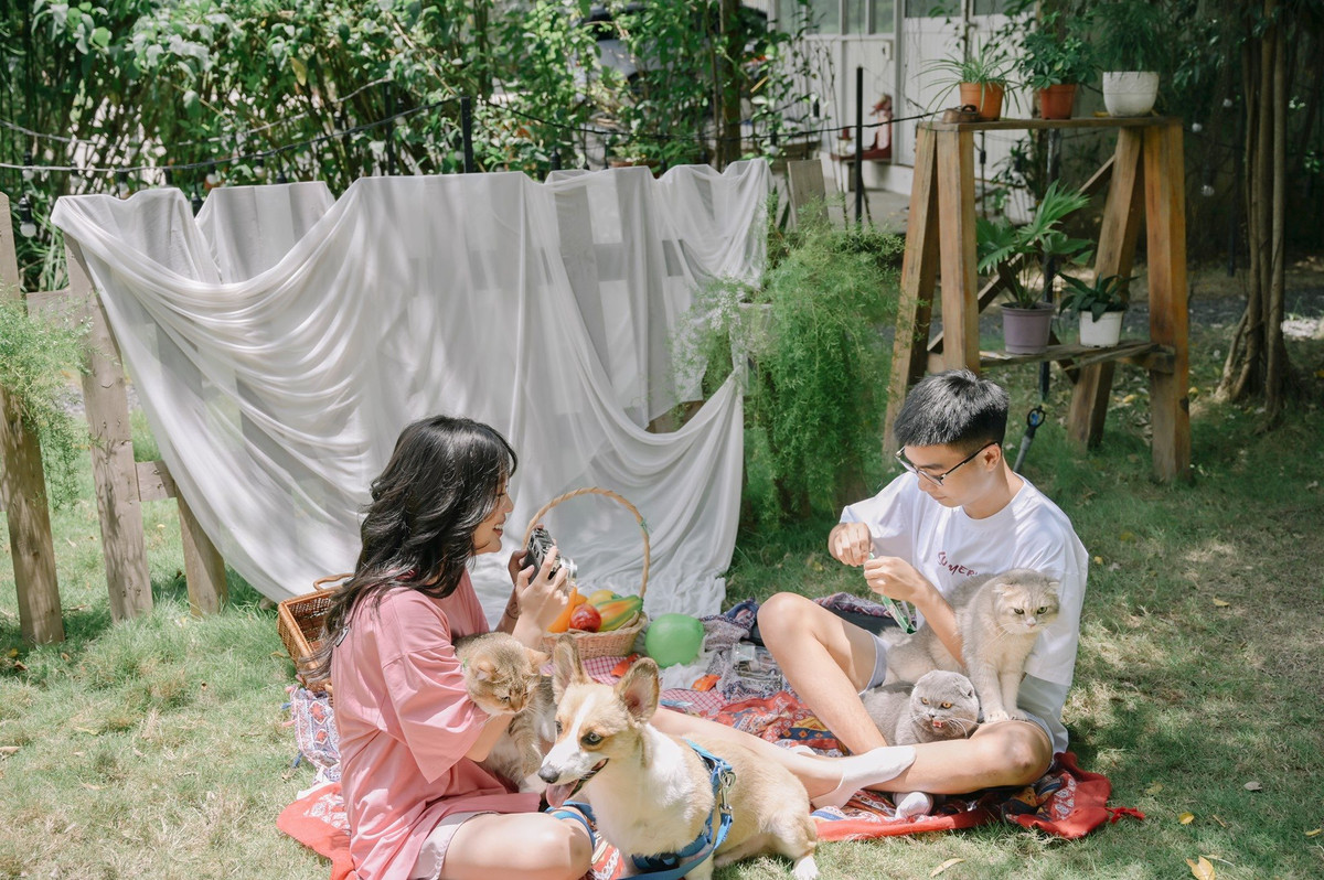 Lý do được cô nàng đưa ra là bất đồng ngôn ngữ. Sau đó, nữ streamer đã đính chính lại lý do chia tay vì không có thời gian chăm sóc nhau nên chẳng khác gì tình đồng chí. Nên 2 đứa đã đi tới quyết định "giải tán".