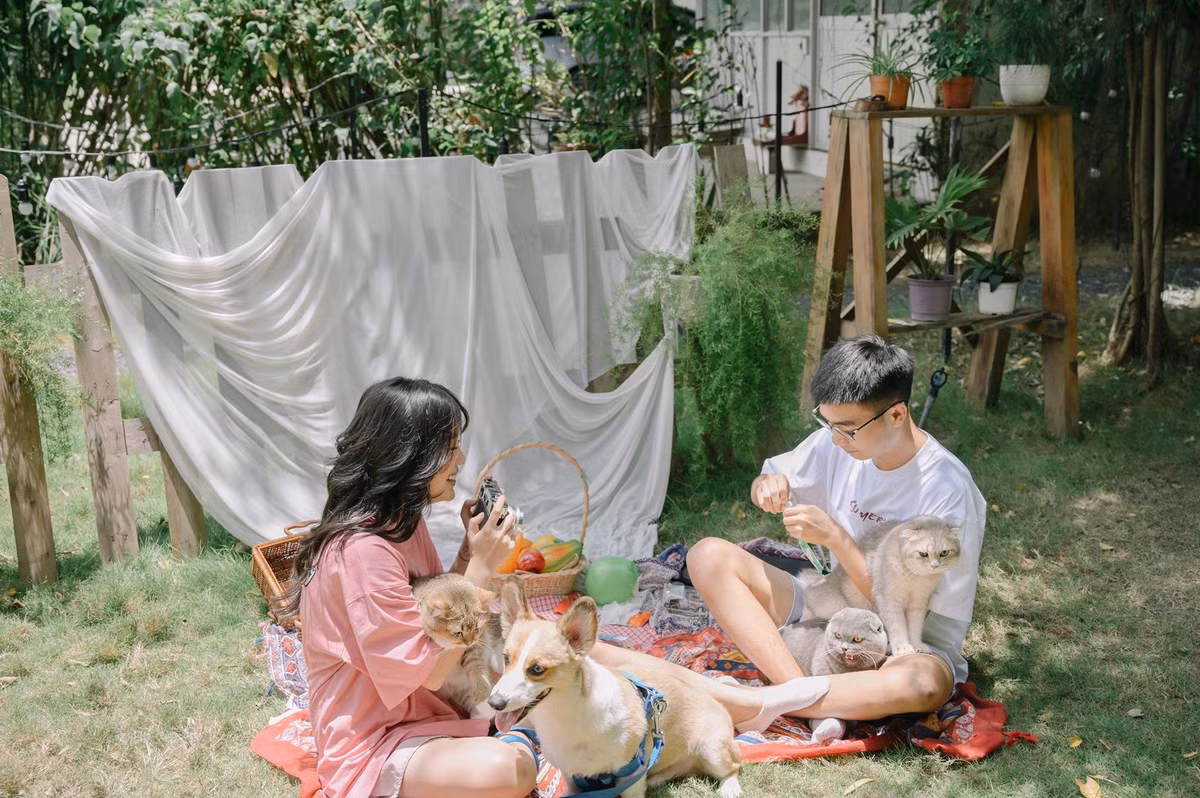 Lý do được cô nàng đưa ra là bất đồng ngôn ngữ. Sau đó, nữ streamer đã đính chính lại lý do chia tay vì không có thời gian chăm sóc nhau nên chẳng khác gì tình đồng chí. Nên 2 đứa đã đi tới quyết định "giải tán".