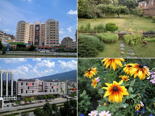 Thật khó tin những tấm ảnh rõ nét, cho màu sắc khá chân thực này lại là sản phẩm từ một chiếc điện thoại cục gạch từ 11 năm trước.