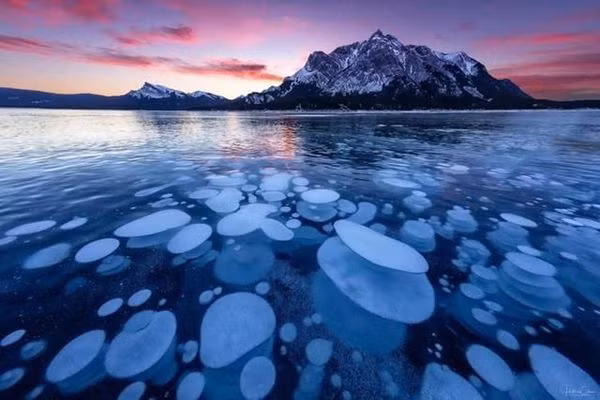 Bong bóng khí metan đông lạnh tạo nên từ việc phân hủy các vi khuẩn thực vật trông thật kỳ lạ dưới lớp nước hồ Abraham, Alberta, Canada.