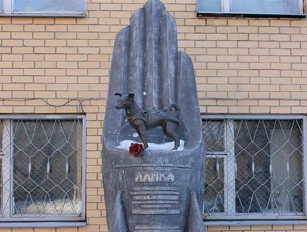 Đúng như dự đoán Laika đã hy sinh trong không gian do thiếu oxy nhưng mãi về sau người ta mới tiết lộ Laika chết chỉ vài giờ sau khi bay vào không gian do lỗi hệ thống kiểm soát nhiệt. Sự hy sinh của Laika không hề uổng phí, đã giúp chứng minh một điều quan trọng: Sinh vật sống có thể tồn tại trong tình trạng không trọng lực ngoài không gian.