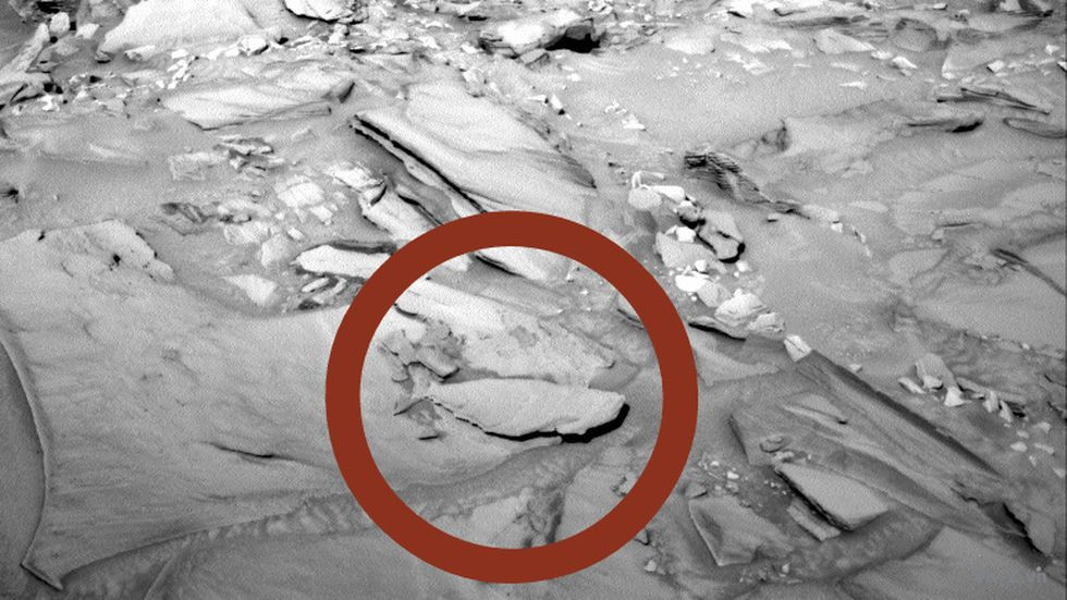 Có một tảng đá hình con cá trên sao Hỏa, nhưng thực tế không có con cá nào ở đó