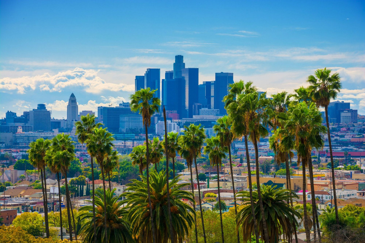 Trước mắt, Google đang hợp tác với Thành phố Los Angeles về dự án và cho biết họ có kế hoạch cung cấp thông tin chi tiết từ Phòng thí nghiệm Tree Canopy cho hàng trăm thành phố trong năm tới.