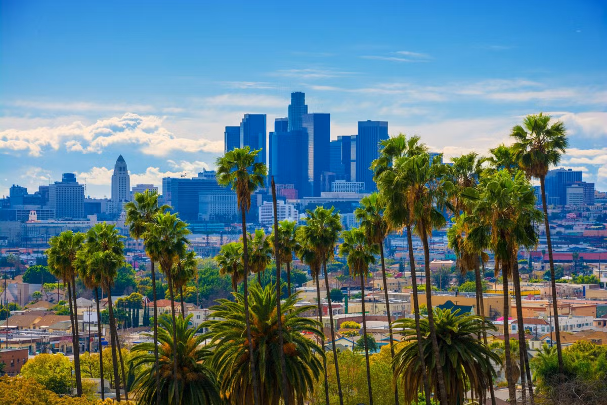 Trước mắt, Google đang hợp tác với Thành phố Los Angeles về dự án và cho biết họ có kế hoạch cung cấp thông tin chi tiết từ Phòng thí nghiệm Tree Canopy cho hàng trăm thành phố trong năm tới.