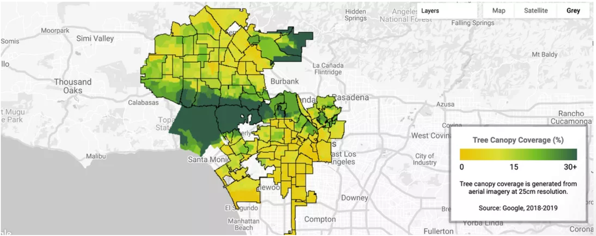 AI của Google sau đó được sử dụng để quét hình ảnh và phát hiện cây cối, và Google Earth Engine giúp phân tích dữ liệu này.