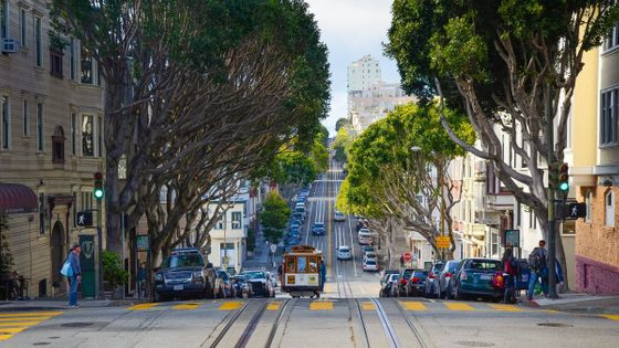 Phòng thí nghiệm Tree Capony của Google đã phát hiện ra rằng 50% cư dân Los Angeles sống trong khu vực có độ che phủ cây từ 10% trở xuống và 44% sống trong các khu vực có nguy cơ nắng nóng khắc nghiệt.