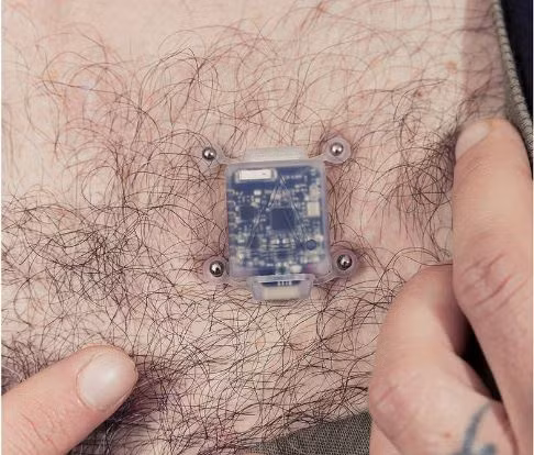 North Sense được phát triển bởi Liviu Babitz và Scott Cohen là một cơ quan cảm giác nhỏ như hộp diêm. Nó sẽ phát ra rung động ngắn mỗi khi người dùng quay mặt về hướng Bắc, tương tự như khả năng sinh học của các loài chim di cư có thể cảm nhận phương hướng.