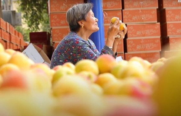 Wang Yalo, cháu bà Cui Shuxia thừa nhận, từ khi bà anh tham gia livestream bán hàng, doanh số tăng gấp 5 lần so với anh bán trước đây. Những video có sự xuất hiện của cụ bà cũng liên tục đạt vài triệu view sau đó.