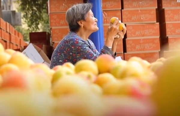 Wang Yalo, cháu bà Cui Shuxia thừa nhận, từ khi bà anh tham gia livestream bán hàng, doanh số tăng gấp 5 lần so với anh bán trước đây. Những video có sự xuất hiện của cụ bà cũng liên tục đạt vài triệu view sau đó.