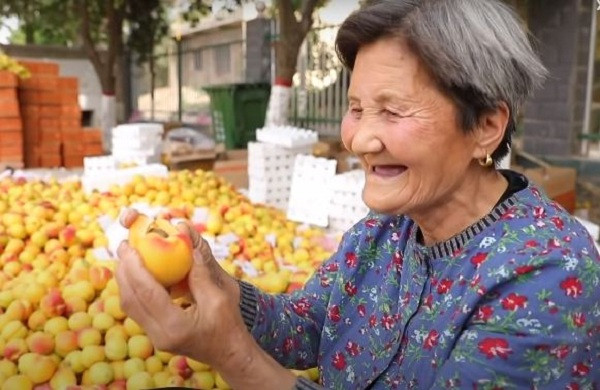 Không chỉ nổi tiếng tại Trung Quốc, cụ bà 80 tuổi bán mơ qua livestream này còn được cư dân mạng Việt Nam biết đến. Nhiều người ví bà như ''Bà Tân Vlog'' phiên bản Trung Quốc bởi vẻ chân chất, hiền lành cùng khối lượng mơ khủng xung quanh như những món ăn ''siêu to khổng lồ'' của Bà Tân Việt Nam.