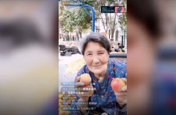 Những gì bà Grand Apricot làm chỉ là ngồi trước máy quay, ăn những quả mơ chín mọng một cách ngon lành và trả lời những câu hỏi của khách trực tuyến một cách vui vẻ.