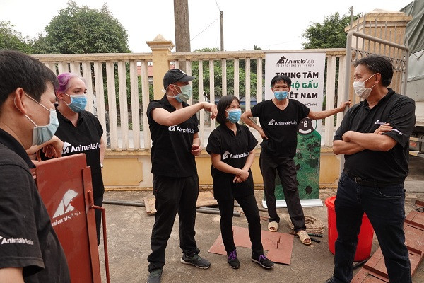 Hiện cả nước còn khoảng hơn 600 cá thể gấu nuôi trong các trang trại, trong khi gấu ngoài tự nhiên chỉ còn vài trăm cá thể. Phần lớn gấu ngựa nuôi nhốt trong các trang trại vì mục đích thương mại, và có lẽ khoảnh khắc duy nhất những cá thể này được ra khỏi bốn lồng sắt là khi bị gây mê để hút mật.