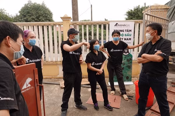 Hiện cả nước còn khoảng hơn 600 cá thể gấu nuôi trong các trang trại, trong khi gấu ngoài tự nhiên chỉ còn vài trăm cá thể. Phần lớn gấu ngựa nuôi nhốt trong các trang trại vì mục đích thương mại, và có lẽ khoảnh khắc duy nhất những cá thể này được ra khỏi bốn lồng sắt là khi bị gây mê để hút mật.