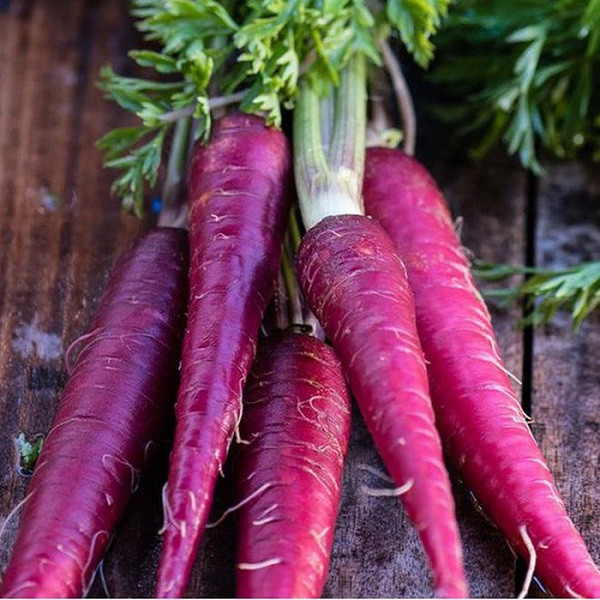 Chúng ta thường dùng cà rốt màu cam nhưng ít ai biết rằng cà rốt thực chất có màu tím hoặc trắng. Cà rốt có màu cam nhờ quá trình đột biến gene khi được nuôi trồng hàng chục năm nay.