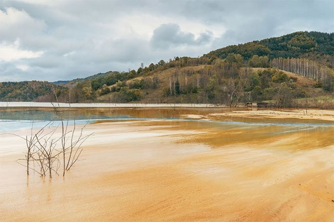 Môi trường nơi đây đã bị tàn phá bởi con người.