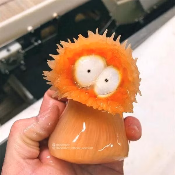 Trông như một nhân vật hoạt hình nhưng thực chất đây là một chú hải quỳ có màu sắc sặc sỡ và khuôn mặt ''tấu hài'' nhất từng thấy.