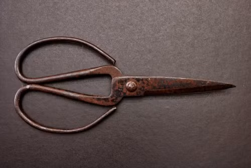 Hiện nay, trên thị trường chúng ta thấy xuất hiện rất nhiều loại kéo chuyên dụng, nhưng về cơ chế hoạt động và chức năng chính thì các mặt hàng này không có gì thay đổi so với tổ tiên của chúng.