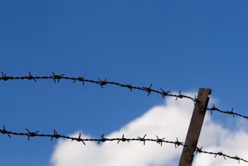 Với thiết kế đơn giản chỉ gồm một sợi dây thép cùng những đoạn dây kim loại nhỏ quấn quanh, phát minh này mang đến những lợi ích vô cùng đáng kinh ngạc. Hiện nay, chúng được sử dụng rộng rãi trong các trang trại giúp cho những con vật lớn không thể vượt qua hàng rào.