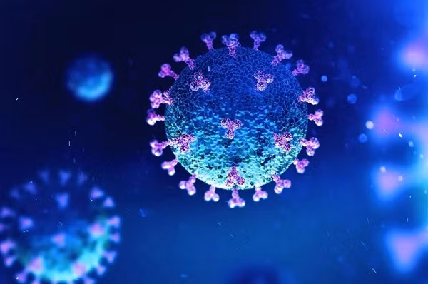 Soc: Virus corona van song sot khi duoc xu ly o 60 do C