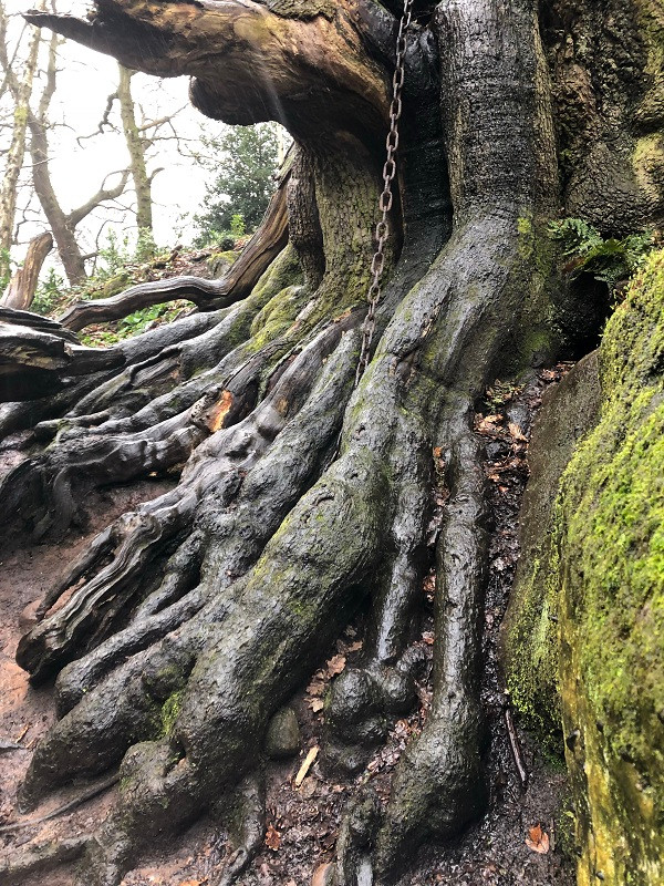 Dù là người giàu có nhưng vị bá tước này lại không hề động lòng thương giúp đỡ người khó khăn, lại có hành động thô lỗ, xua đuổi người phụ nữ ăn mặc rách rưới.