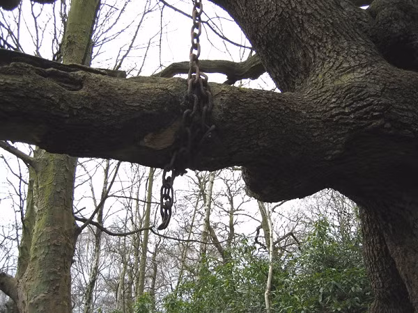 Kể từ đó cây sồi cổ giữ nguyên hiện trạng bị xiềng xích cho đến ngày nay, cũng không ai dám tháo những dây xích hạn gỉ ấy. Hiện tại, đây trở thành một trong những điểm thu hút người ưa khám phá đến chiêm ngưỡng và tìm hiểu.