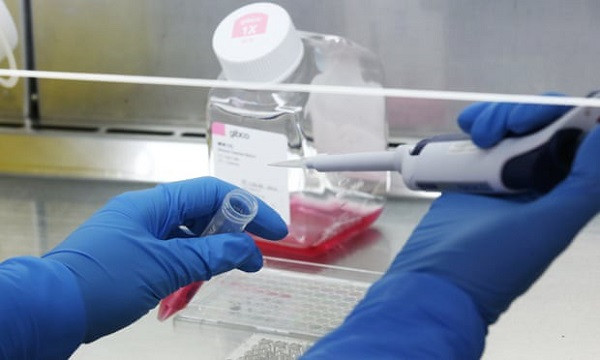 My dieu tra toan dien cai chet cua benh nhi dau tien do Covid-19