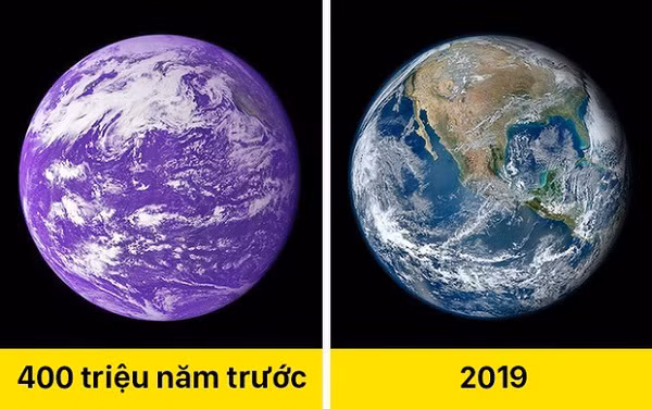 Một trong những bí ẩn thế giới gây sốc nhất: Trái Đất từng có màu tím. Nhiều nhà khoa học khẳng định cây cỏ từ 400 triệu năm trước không có màu xanh như bây giờ.