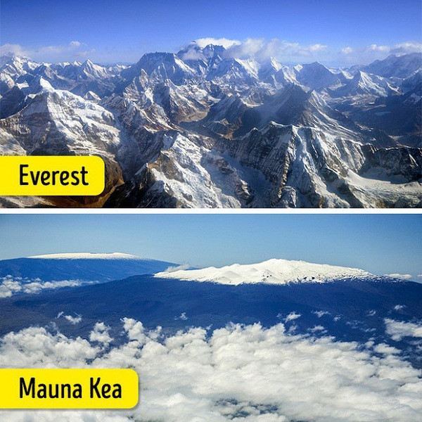 Có thể bạn chưa biết, Mauna Kea ở Hawaii mới là đỉnh núi cao nhất thế giới, chứ không phải đỉnh Everest. Mauna Kea có tổng độ cao lên tới hơn 14.4 km.